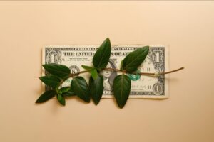 A dollar bill with a green tree branch symbolizing the cost-effectiveness and growth potential of outpatient rehab compared to inpatient care.