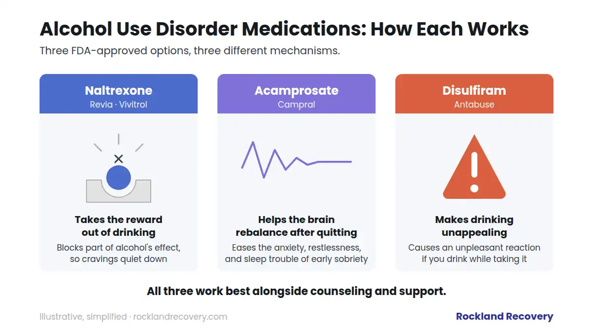 Diagram of the three FDA-approved medications for alcohol use disorder: naltrexone takes the reward out of drinking, acamprosate helps the brain rebalance after quitting, and disulfiram causes an unpleasant reaction if you drink