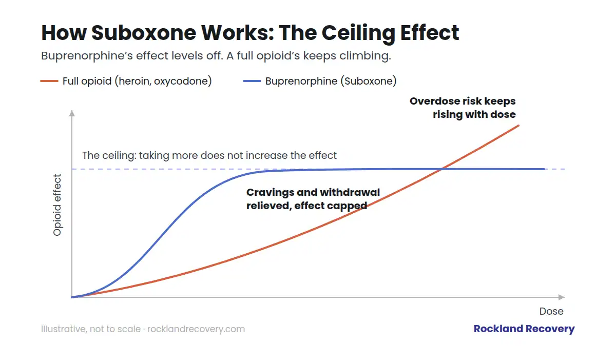 Diagram comparing buprenorphine's ceiling effect with a full opioid: buprenorphine's effect levels off as dose increases while a full opioid's keeps rising.